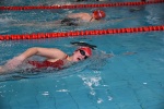 2019-01-13 Rosmalen Comp DSC_0047.jpg
