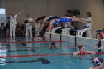 2019-01-13 Rosmalen Comp DSC_0125.jpg