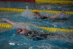 2019-01-13 Rosmalen Comp DSC_0285.jpg