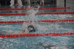 2019-01-13 Rosmalen Comp DSC_0456.jpg
