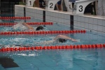 2019-01-13 Rosmalen Comp DSC_0470.jpg