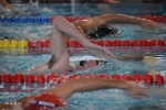 2019-01-13 Rosmalen Comp DSC_0495.jpg