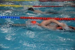 2019-01-13 Rosmalen Comp DSC_0503.jpg