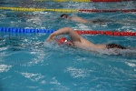 2019-01-13 Rosmalen Comp DSC_0504.jpg