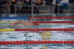 2019-01-13 Rosmalen Comp DSC_0512.jpg