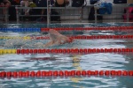 2019-01-13 Rosmalen Comp DSC_0513.jpg
