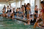 2012-02-24 Schoolzwemtoernooi 166 [WZV].jpg