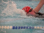 2011-02-28 Valkenswaard 088 [WZV].jpg