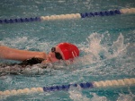 2011-02-28 Valkenswaard 089 [WZV].jpg