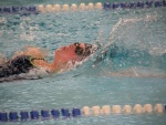 2011-02-28 Valkenswaard 090 [WZV].jpg