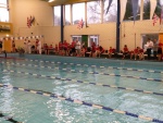 2011-02-28 Valkenswaard 094 [WZV].jpg